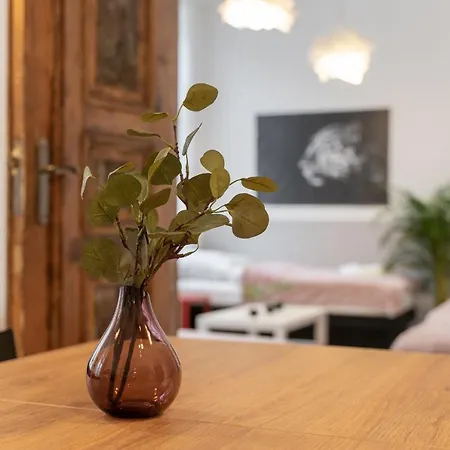 Kamienica Centrum Nr 9 Διαμέρισμα *